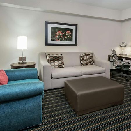 Hilton Garden Inn San Antonio/Rim Pass Drive Luaran gambar